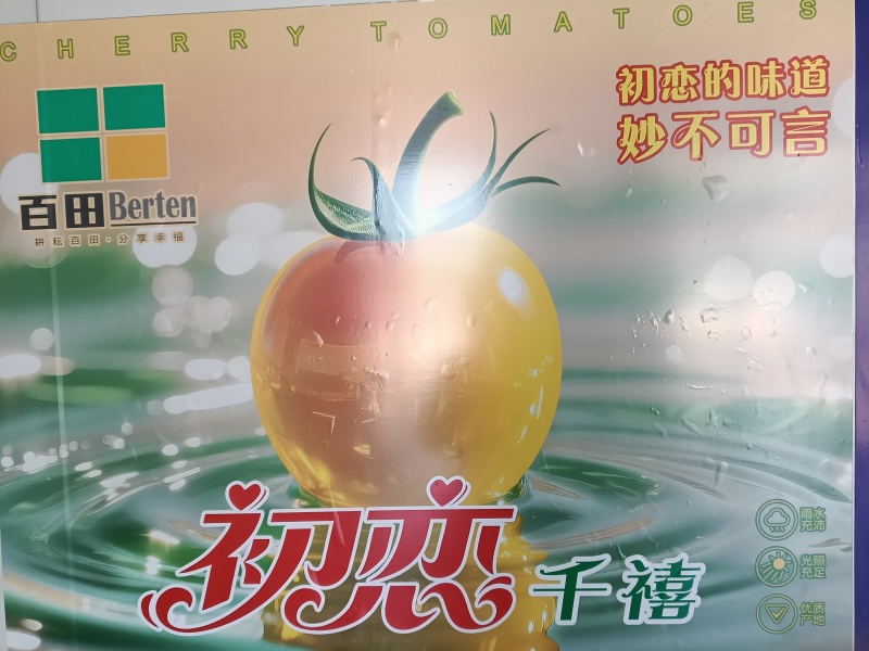 电白初恋千禧，唯蜜千禧新品上市了