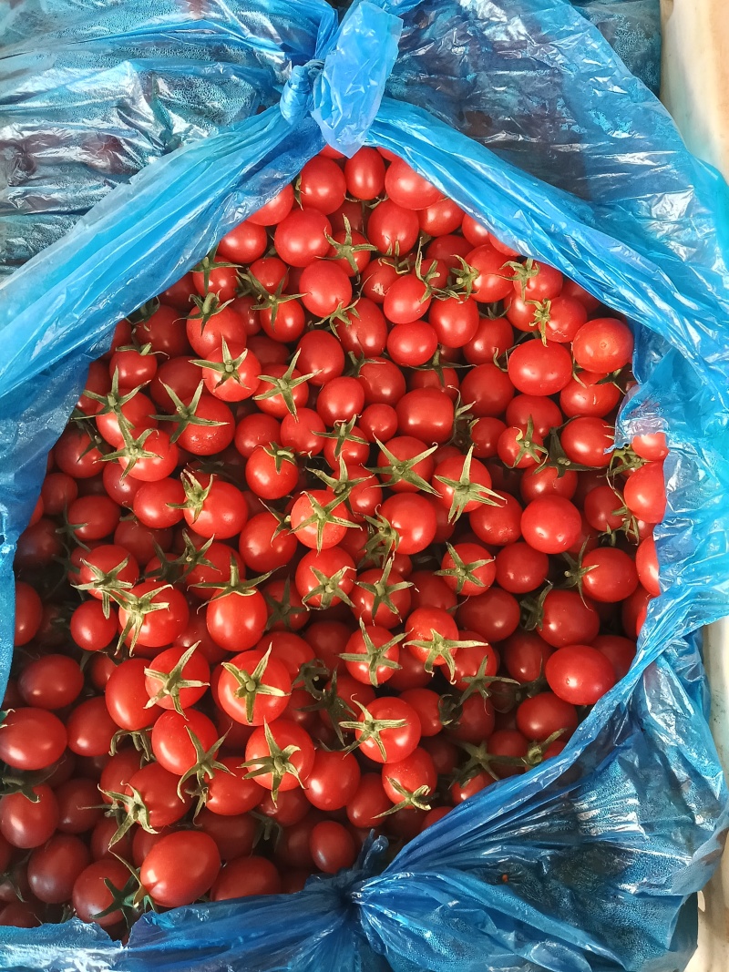 电白初恋千禧，唯蜜千禧新品上市了