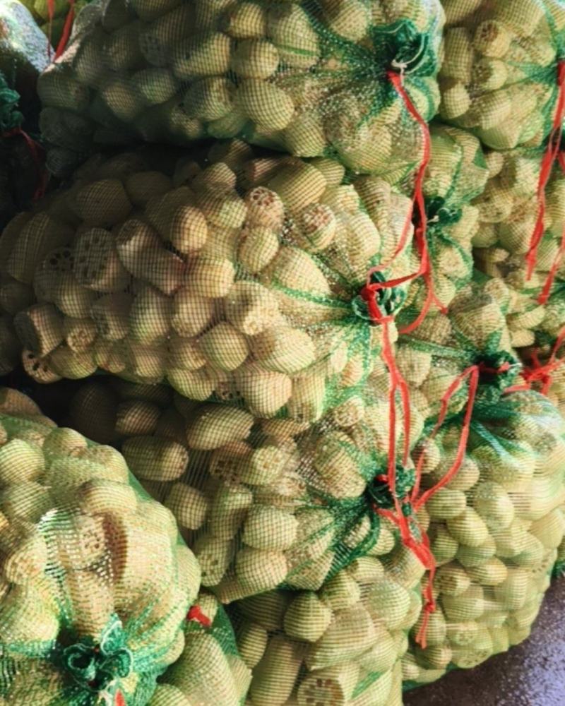 滚皮小藕，2345去藕节