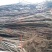 山东山楂苗、大金星、大五棱、大棉球、甜红子、货源充足。