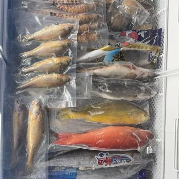产地海鲜大礼箱