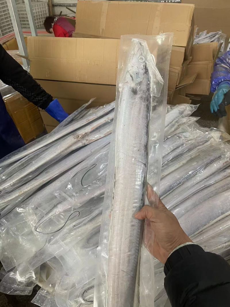 打捞到码头到车间一步锁鲜，一手货源