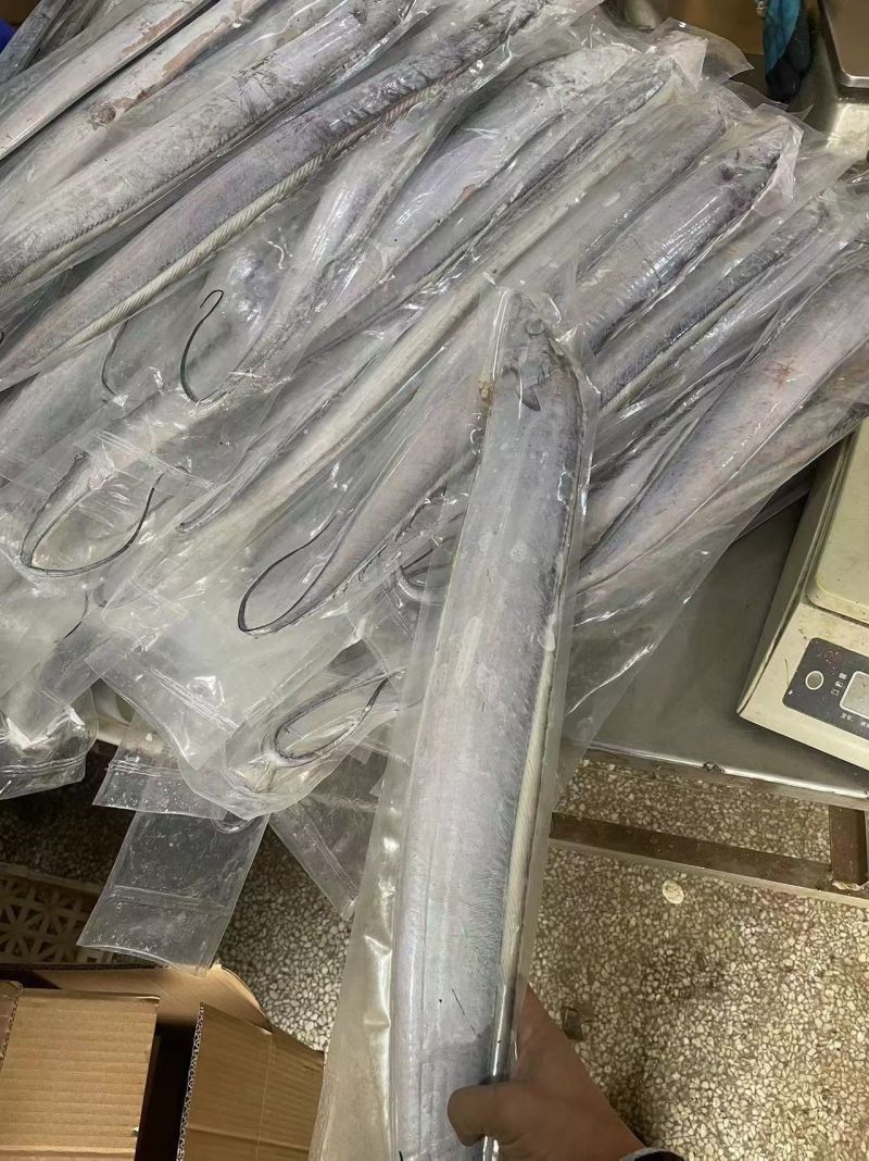 打捞到码头到车间一步锁鲜，一手货源