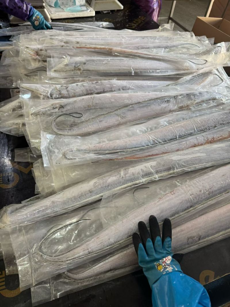 打捞到码头到车间一步锁鲜，一手货源