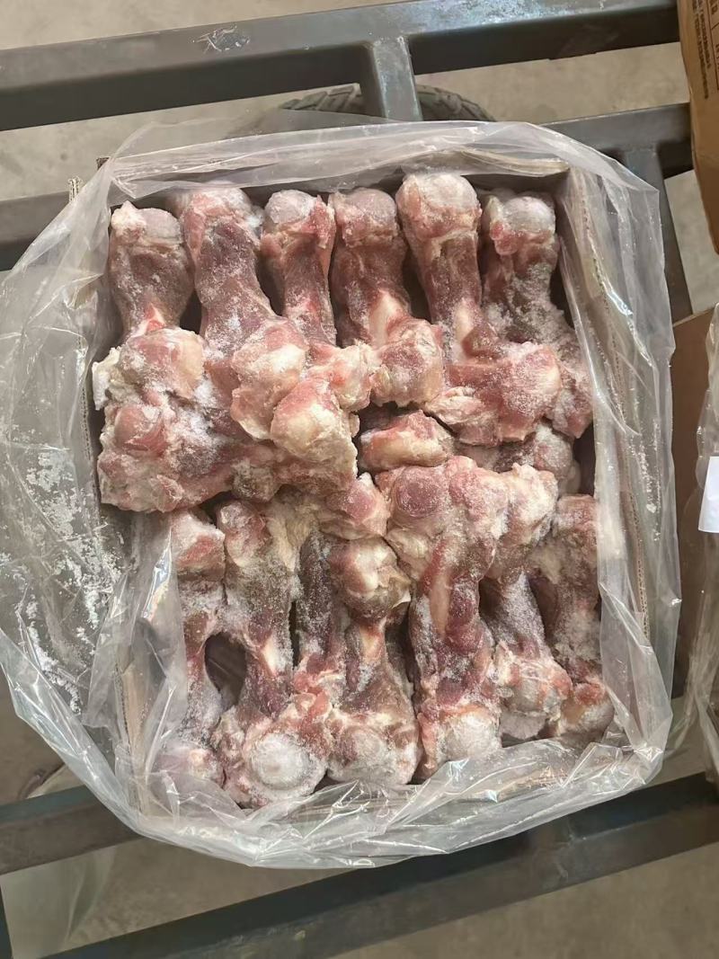 猪多肉前腿骨
