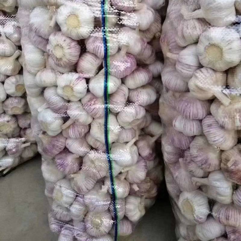 大蒜金乡大蒜太空蒜蒜米料专业代收储存长年加工发货