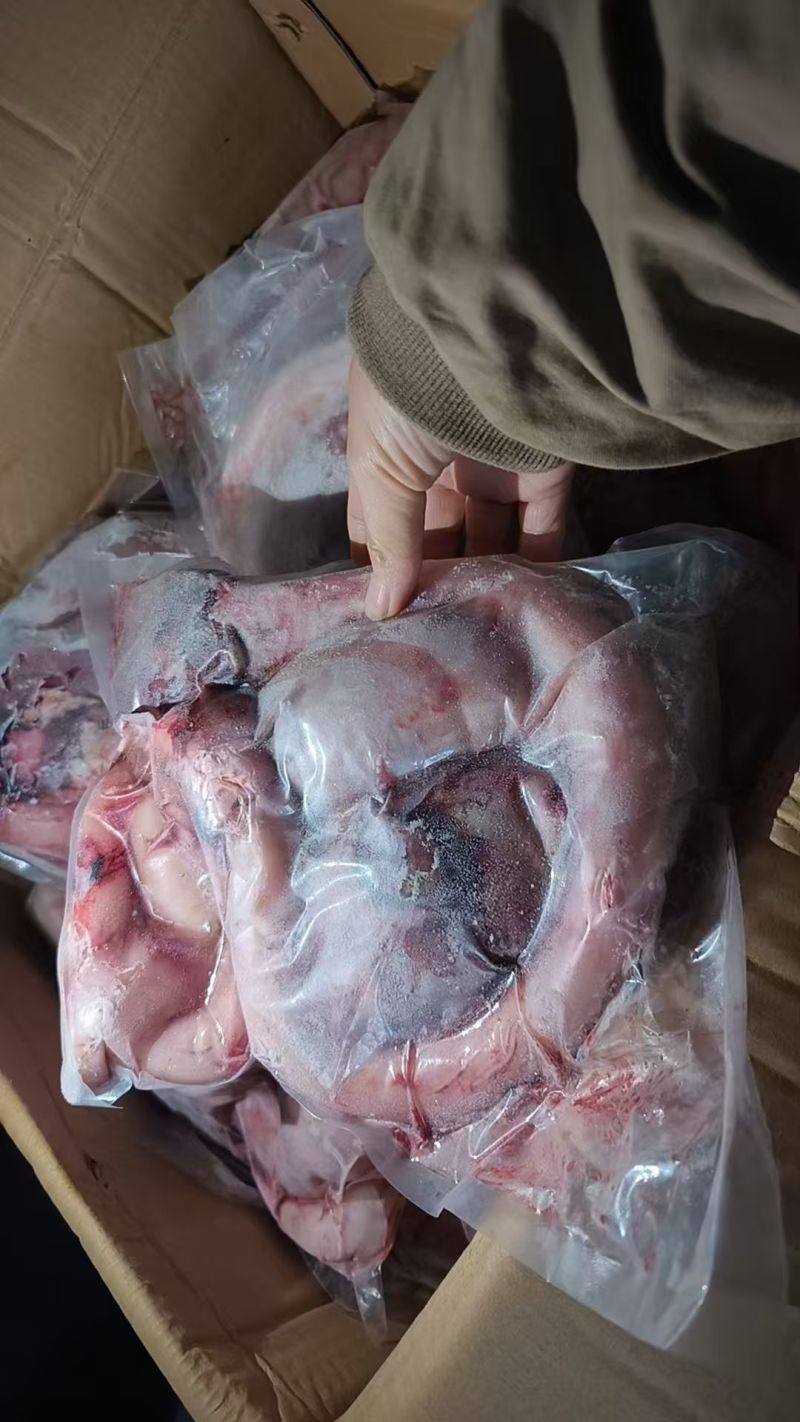 精品牛鞭宝
