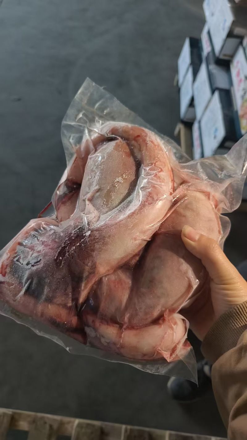 精品牛鞭宝