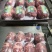 马氏后腿包高品质40斤箱