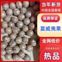 夏威夷果/产区直发/各种规格都有/欢迎购买