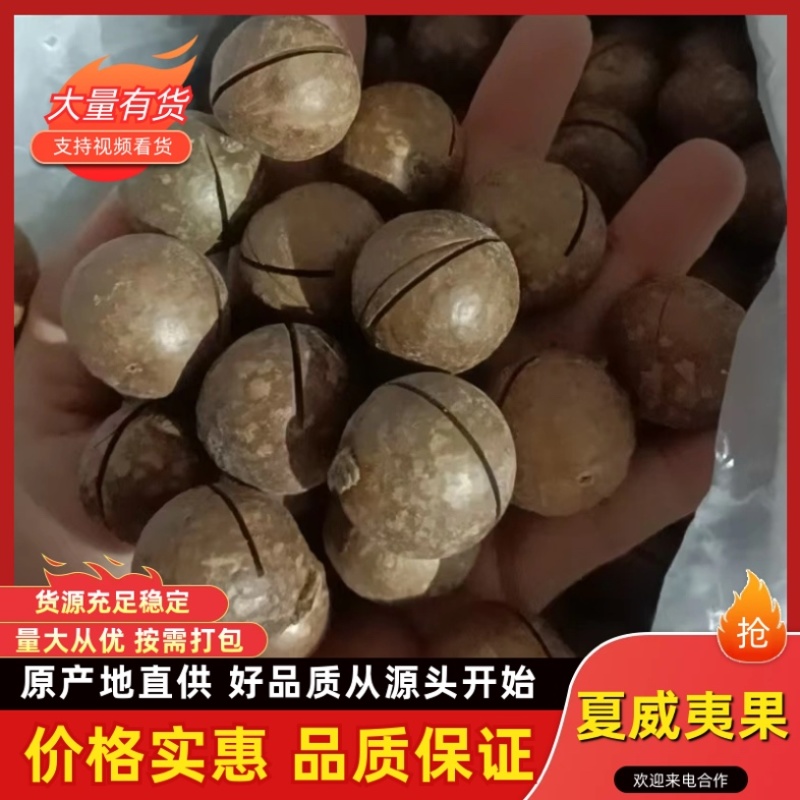 夏威夷果/产区直发/各种规格都有/欢迎购买