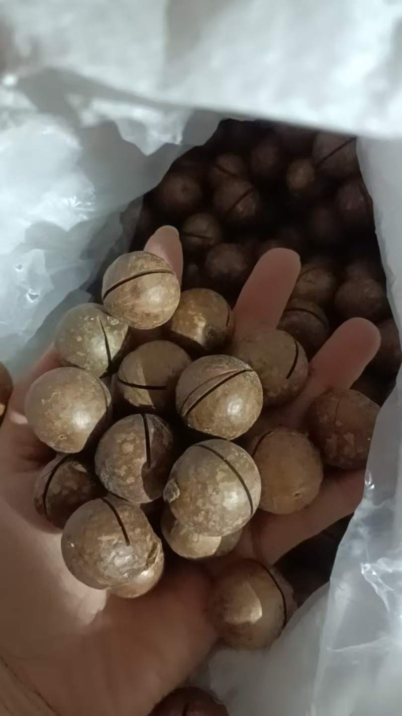 夏威夷果/产区直发/各种规格都有/欢迎购买