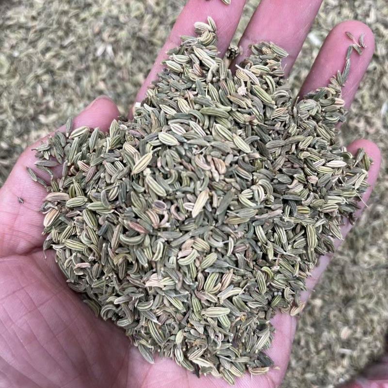 国产小茴香，干度足，颜色好