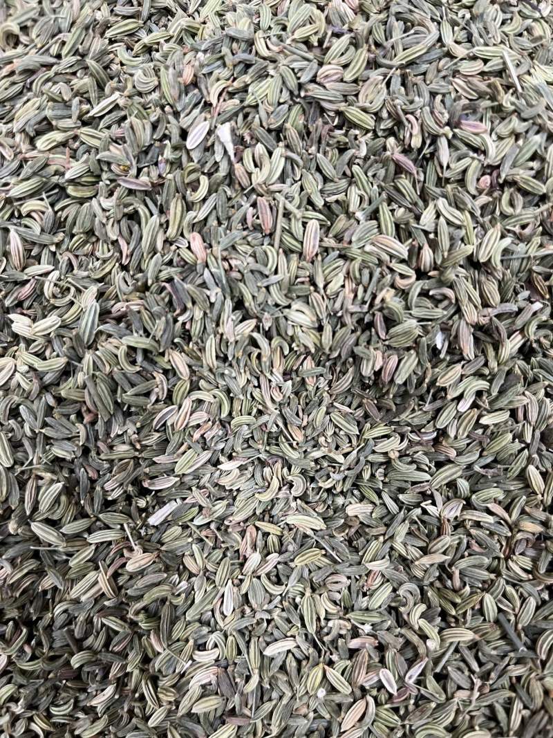 国产小茴香，干度足，颜色好