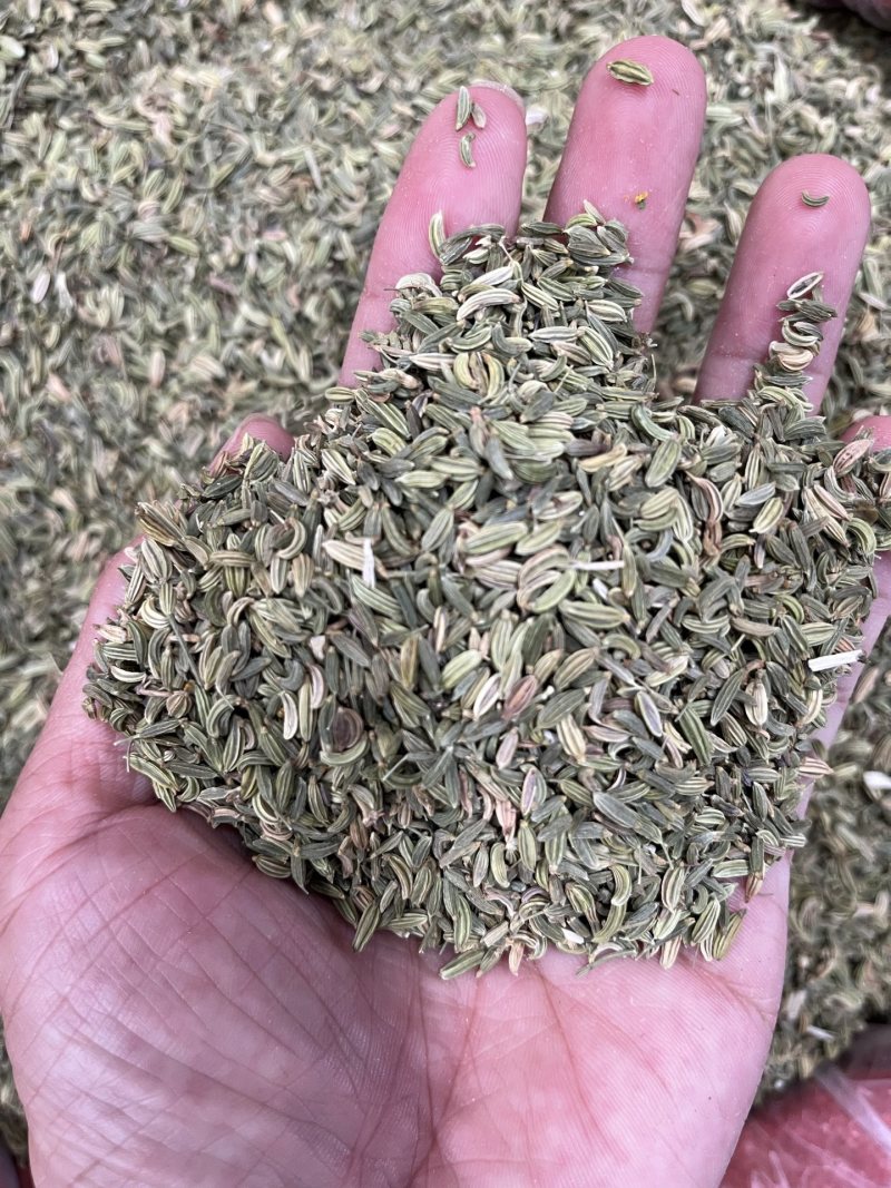 国产小茴香，干度足，颜色好