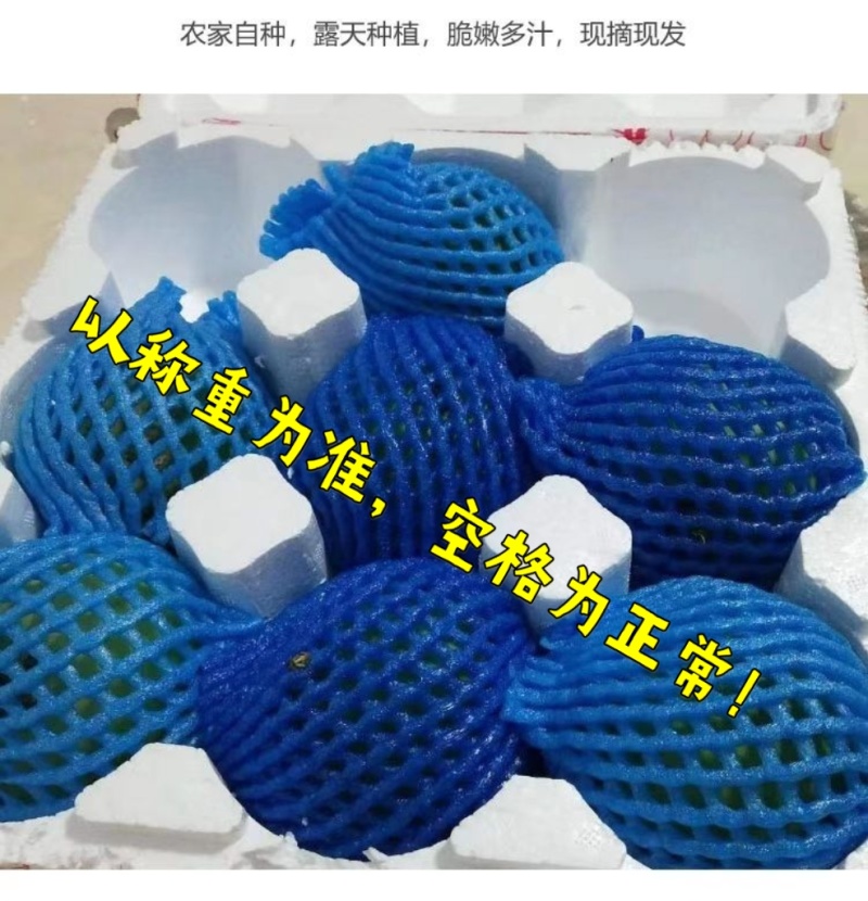 绿宝甜瓜八里香甜瓜博洋九大量现货！支持全国一件代发代购！