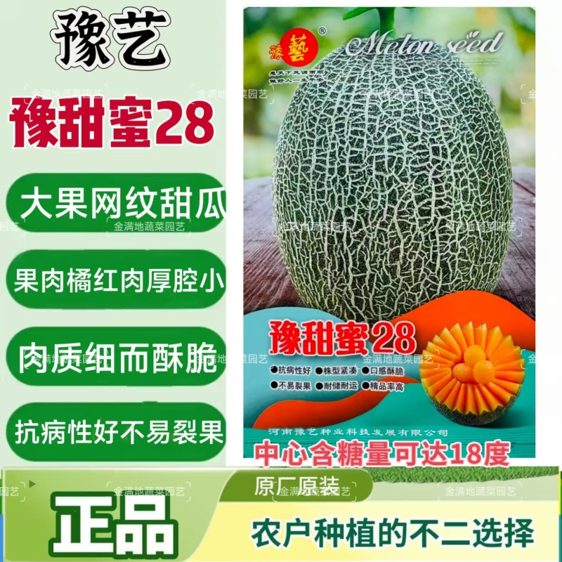 豫艺哈密瓜种子高糖豫甜蜜28网纹甜瓜种子大果高品质酥脆香