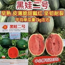 豫艺黑娃二号西瓜种子早熟黑皮西瓜种子大红瓤黑皮圆西瓜
