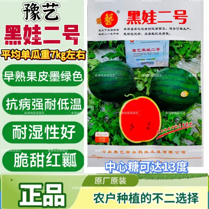 豫艺黑娃二号西瓜种子早熟黑皮西瓜种子大红瓤黑皮圆西瓜
