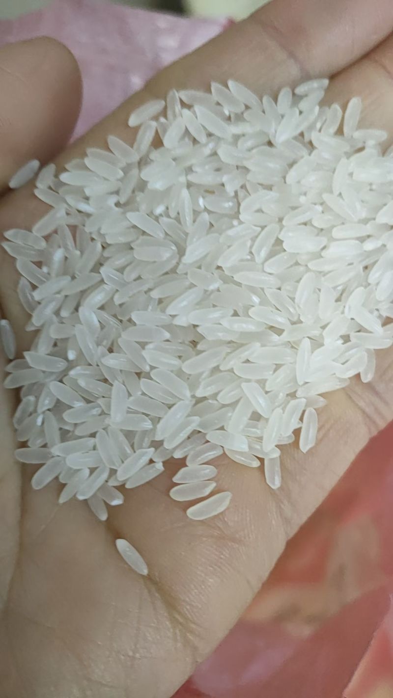 东北大米长粒香