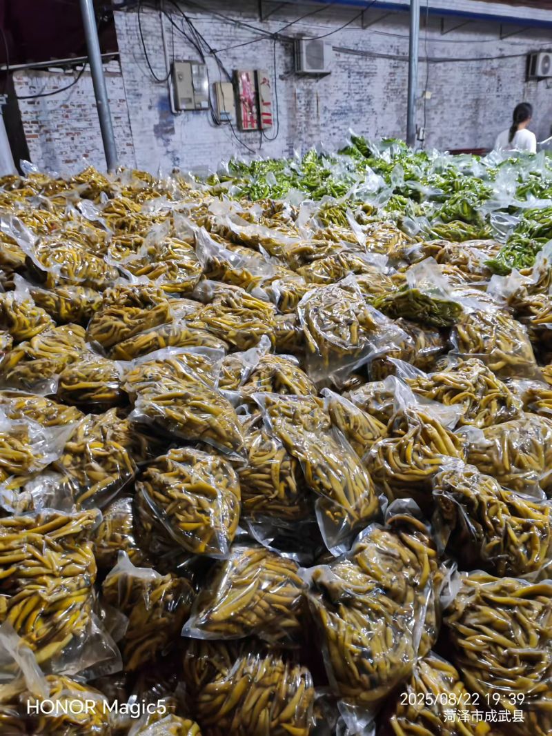 腌制杭椒，一手货源高品质