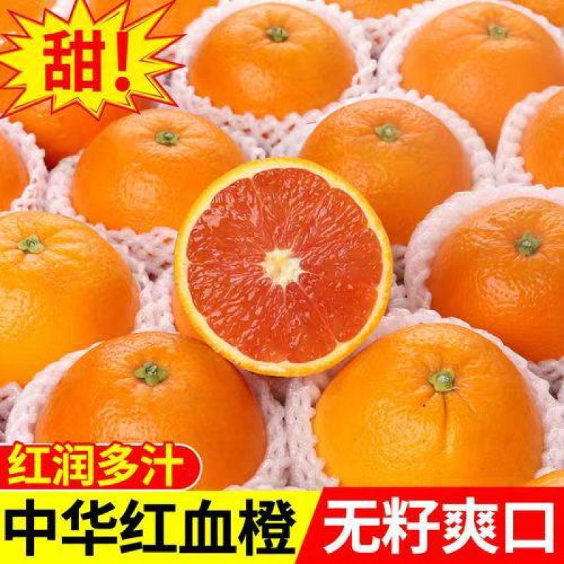 中华红血橙，主产地直供一手货源
