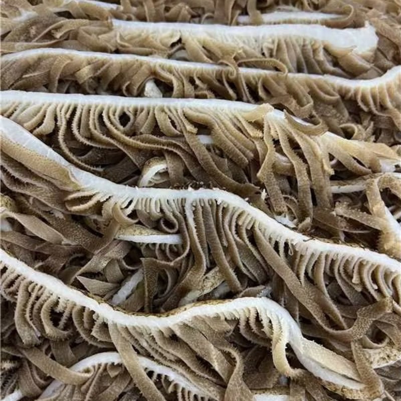 牛副产品/精品茶千层毛肚/诚信经营/保质保量/一手货源