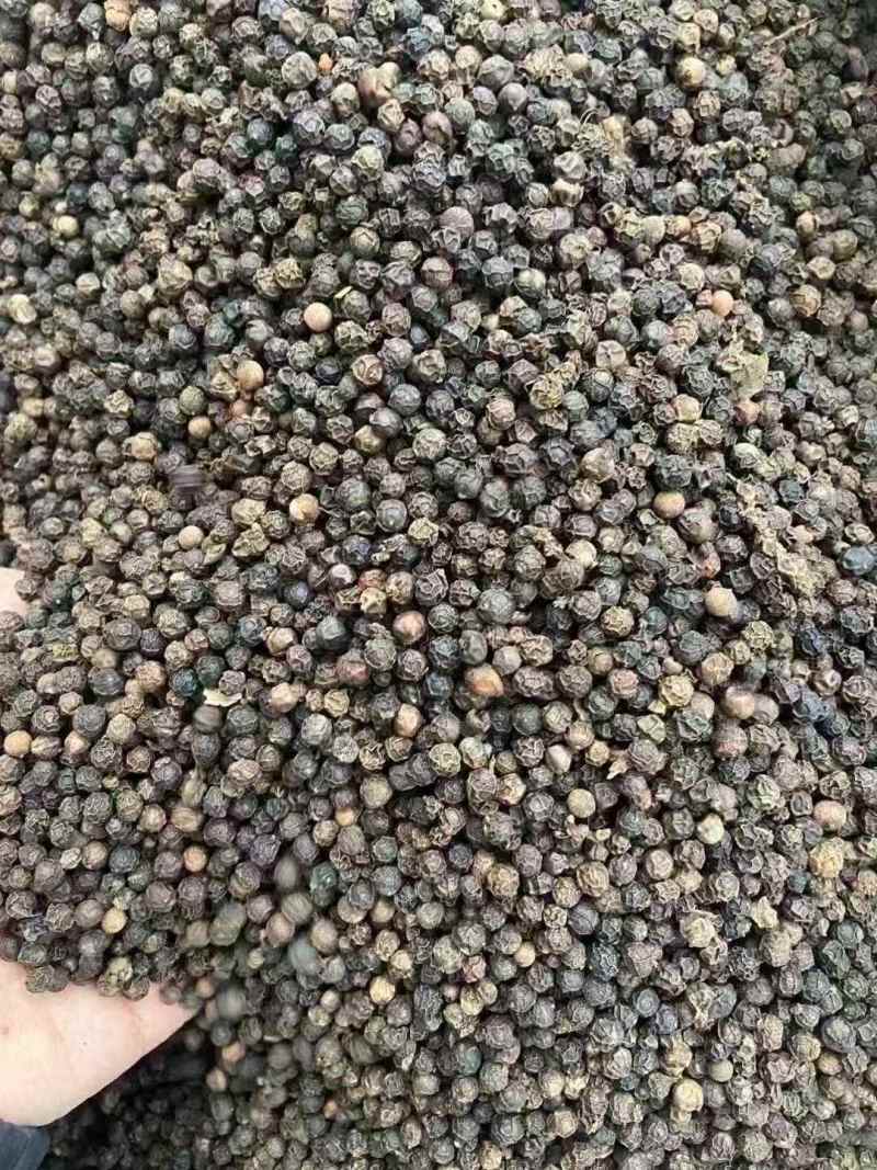 黑胡椒，干度足（下单前先联系卖家）
