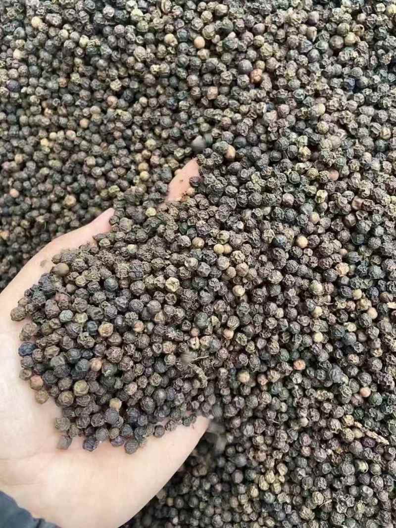 黑胡椒，干度足（下单前先联系卖家）