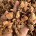 良姜个新货水洗，97干中个头无虫口过风过筛，颜色好