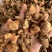 良姜个新货水洗，97干中个头无虫口过风过筛，颜色好