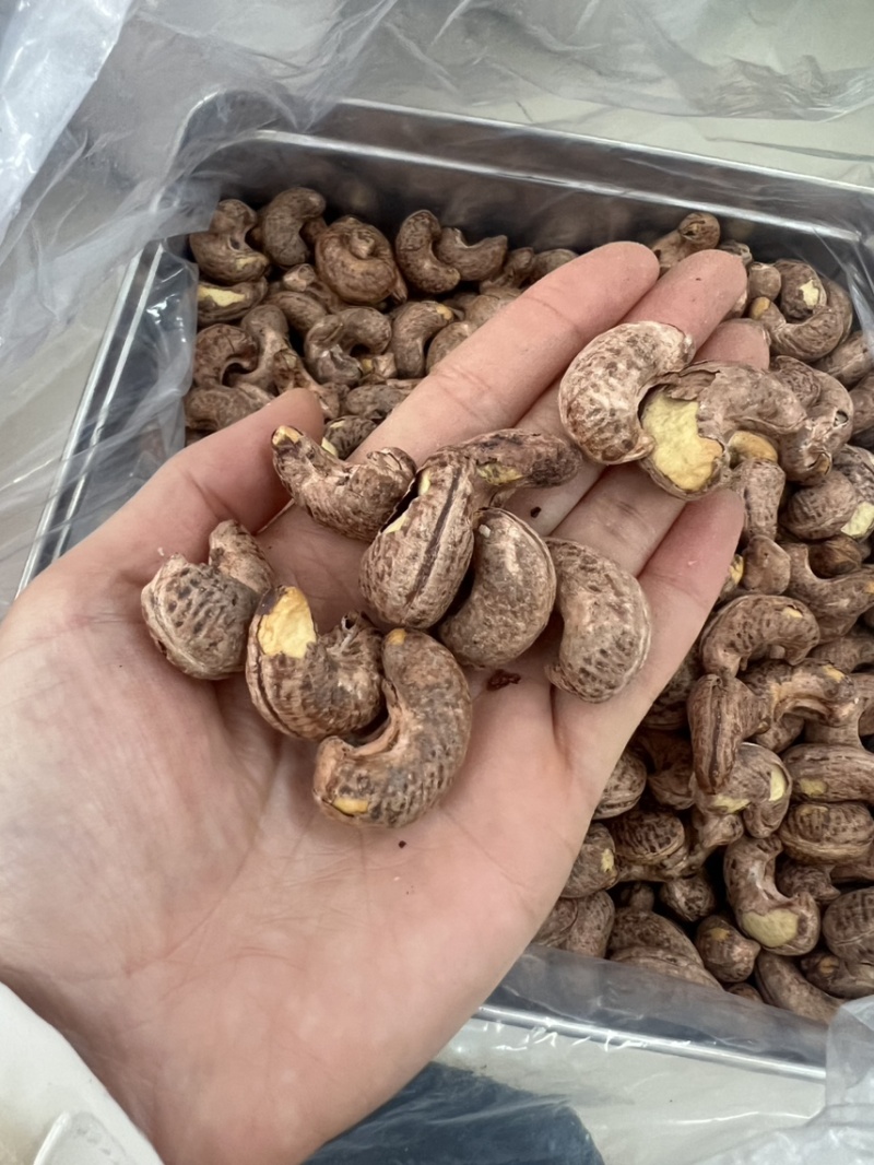 180紫衣腰果公司高货