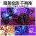 黄曲霉素菌检测笔紫外线手电筒紫光灯真菌毒素荧光剂检测