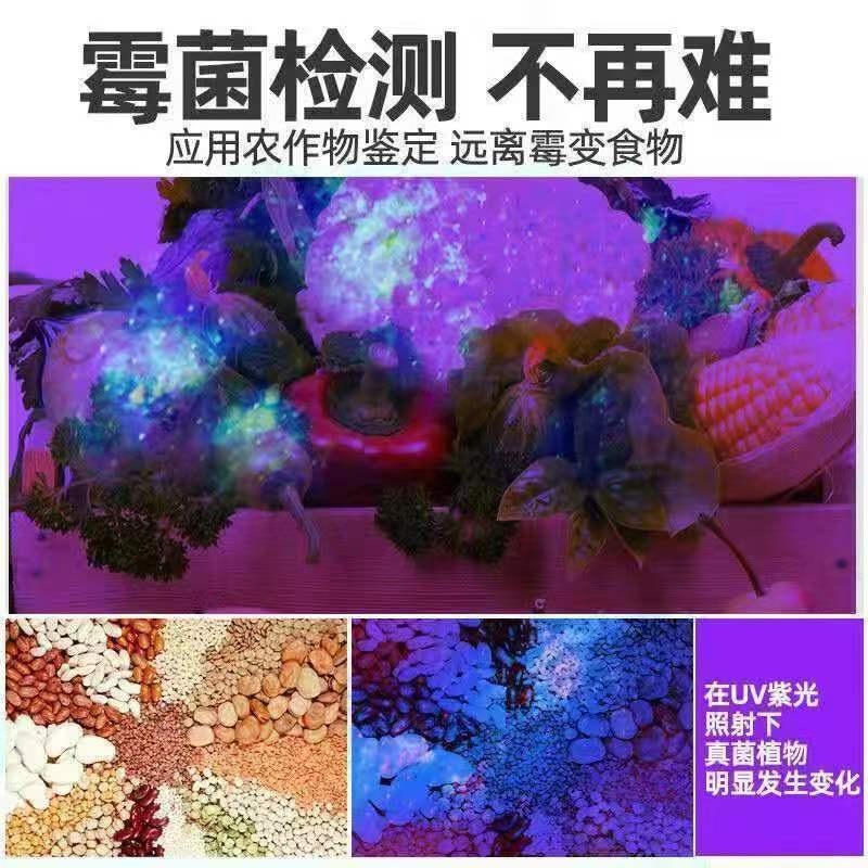 黄曲霉素菌检测笔紫外线手电筒紫光灯真菌毒素荧光剂检测