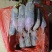 冰激凌水果萝卜脆甜多汁