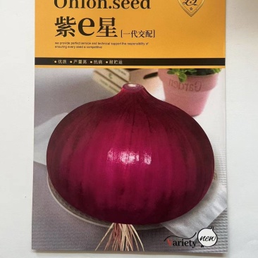 洋葱种子红皮洋葱种子厂家直销欢迎来电