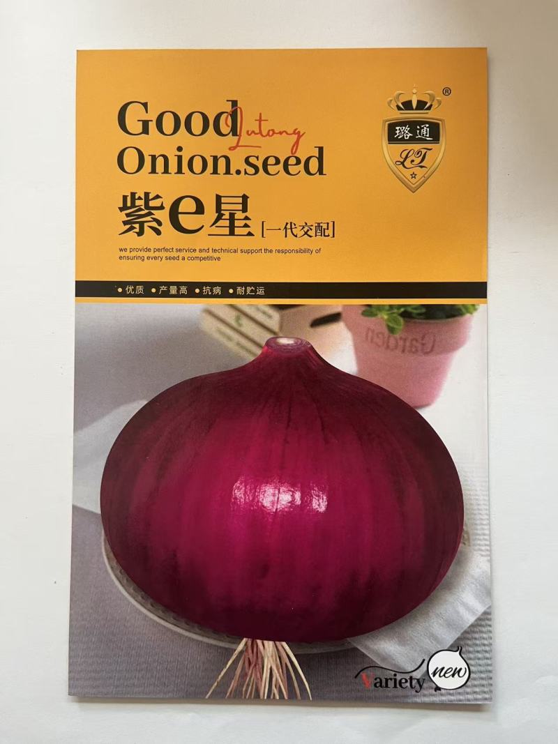 洋葱种子红皮洋葱种子厂家直销欢迎来电