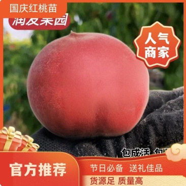 果园直发桃树苗晚熟国庆红帅师香桃高糖红嫁接成品包品种