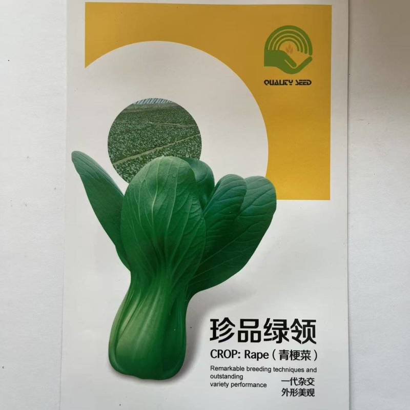 青梗菜种子一代杂交厂家直销欢迎来电