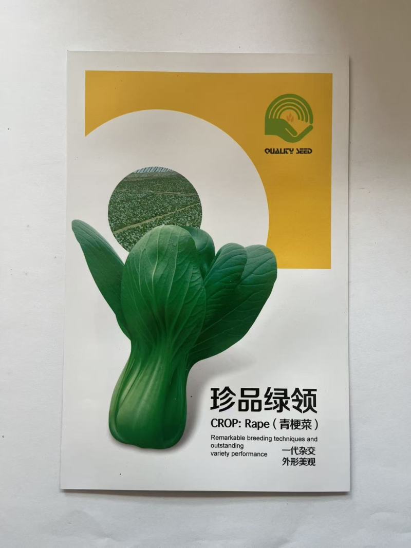 青梗菜种子一代杂交厂家直销欢迎来电
