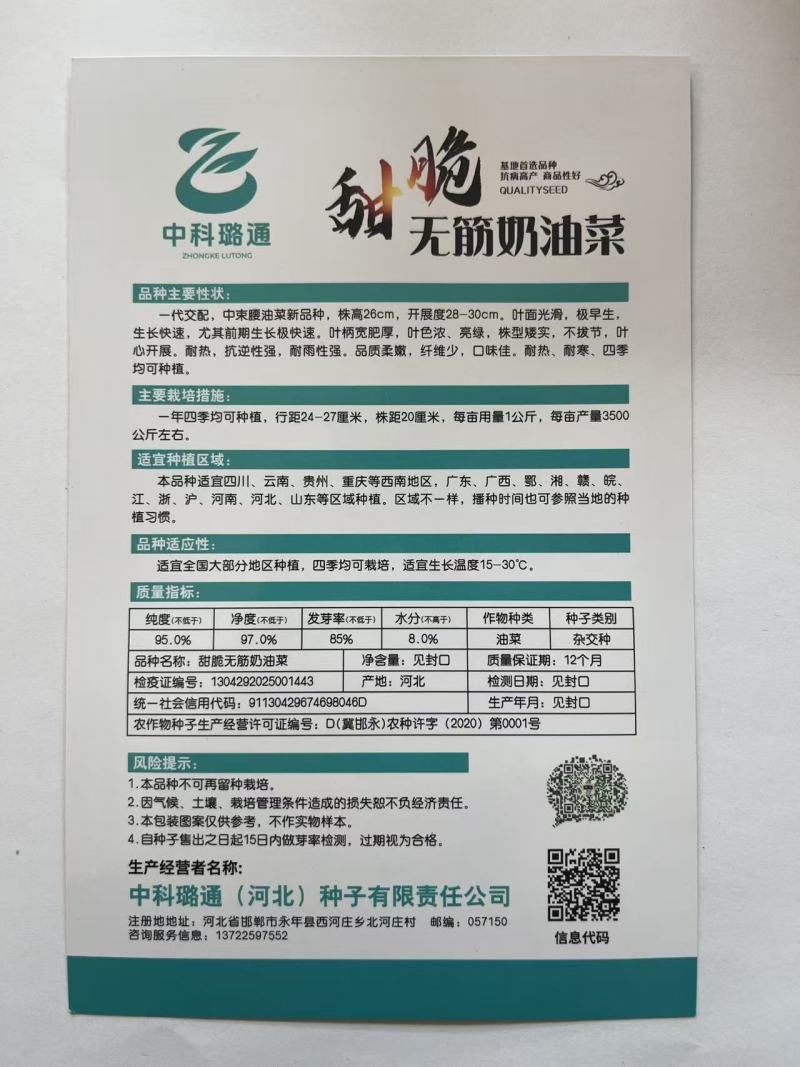 油菜种子上海青种子无筋奶油菜厂家直销欢迎来电