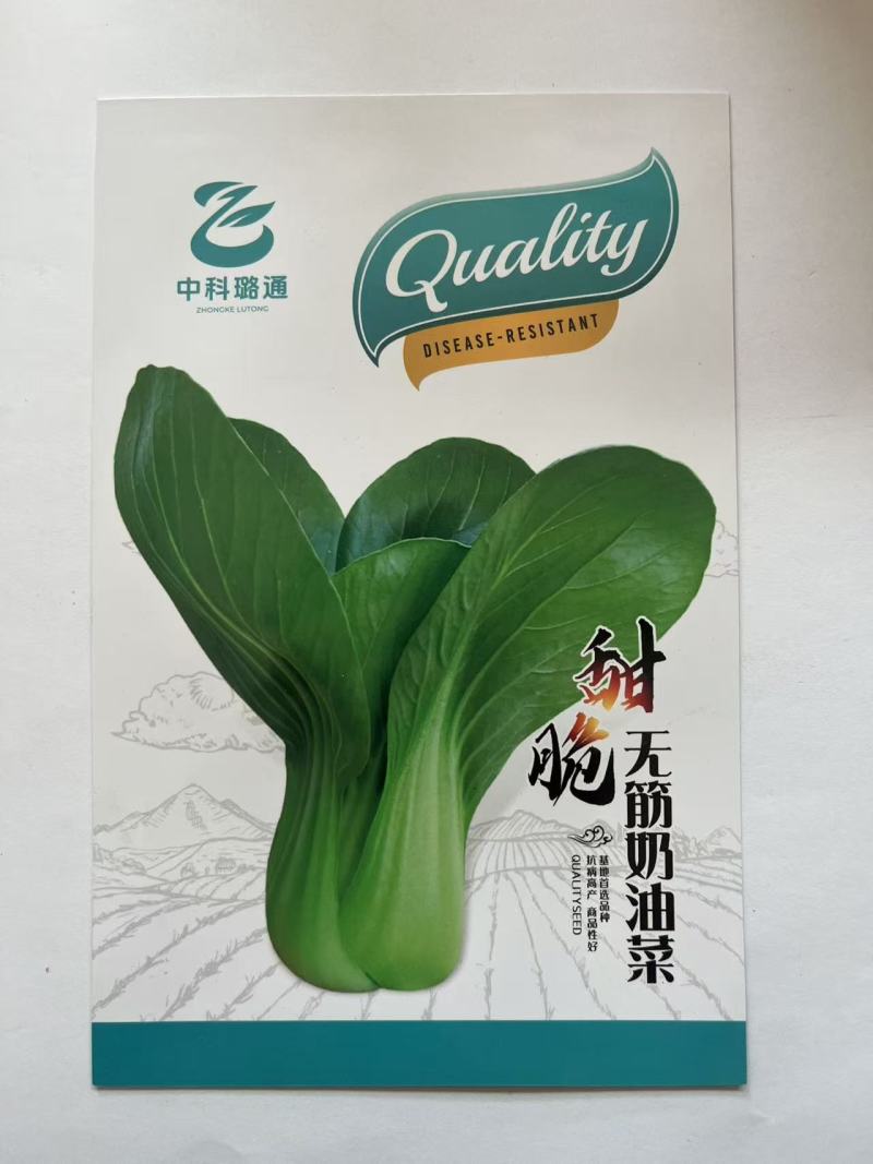 油菜种子上海青种子无筋奶油菜厂家直销欢迎来电