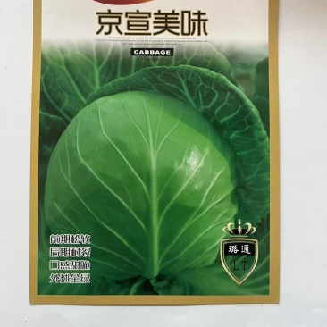 甘蓝种子圆包菜种子厂家直销欢迎来电