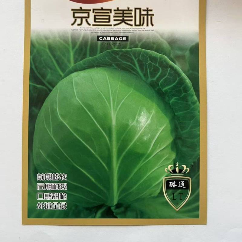 甘蓝种子圆包菜种子厂家直销欢迎来电