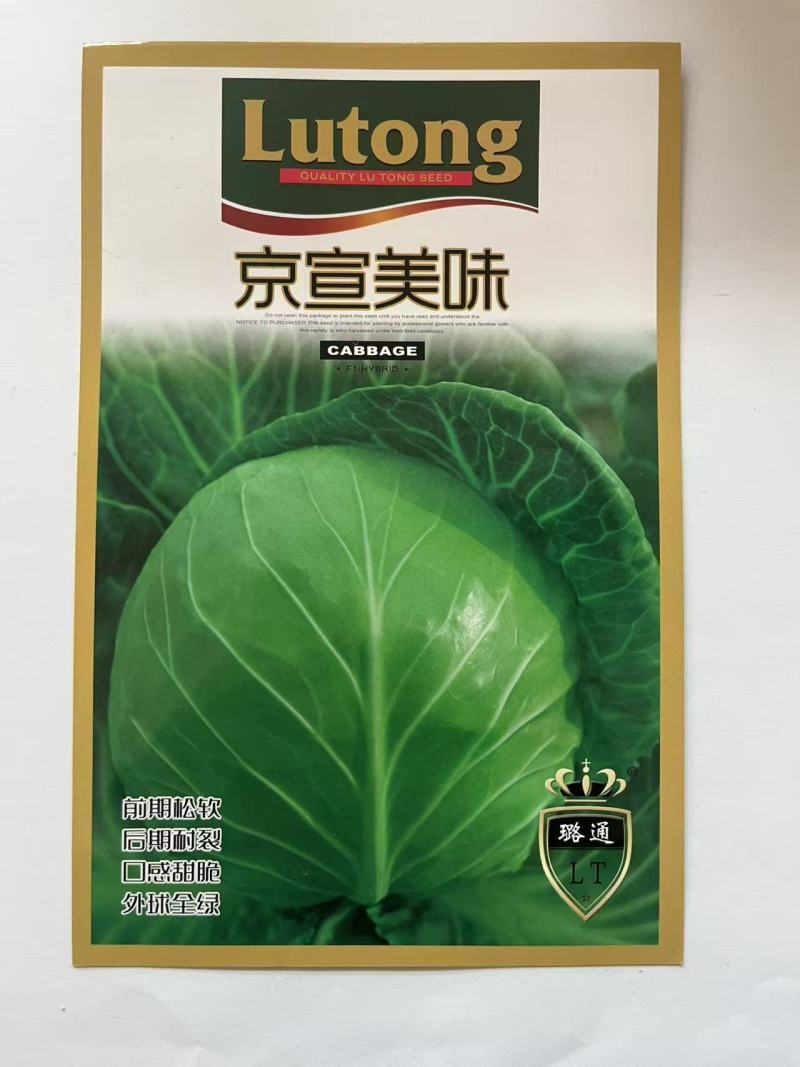 甘蓝种子圆包菜种子厂家直销欢迎来电