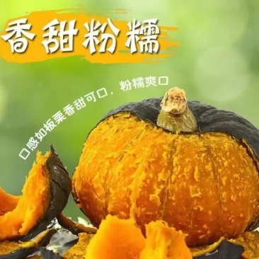 精品贝贝口感瓜/电商直播/社区团购/市场商超/一件