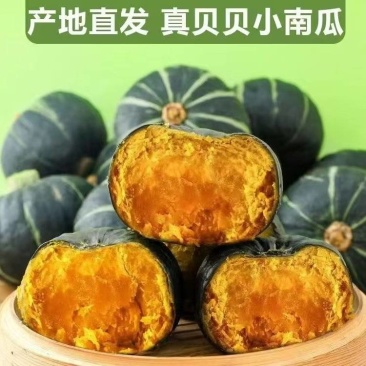精品贝贝口感瓜/电商直播/社区团购/市场商超/一件代发