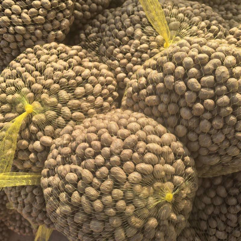 2026新山药豆，电商和商超各种规格的山药豆！已大量上市