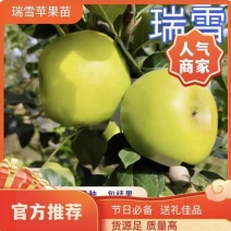 果园直发苹果树苗瑞雪维纳斯黄金澳洲青苹果王林包成活