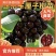 果园直发大樱桃苗黑珍珠特早熟**泰奥加品种纯正